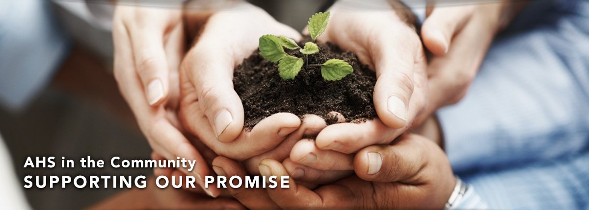 Giving_HeroImages_Hands_1200x429 Hands holding plant